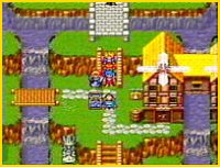 Wyndia