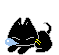My name is LSD. I'm bad pussy!