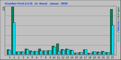 Stunden-Statistik im Monat Januar 2020